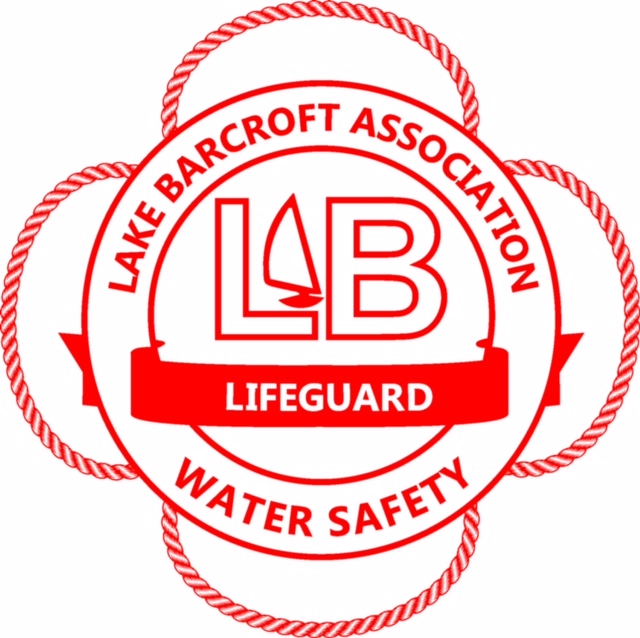 Lifeguard Logo